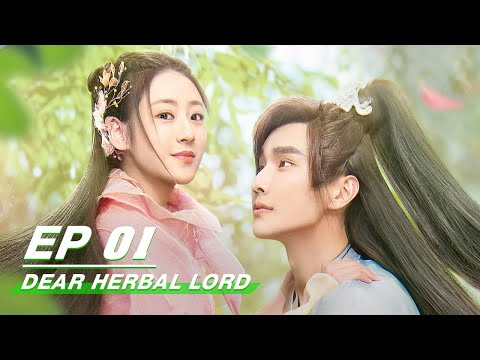 【FULL EP 全集看】Dear Herbal Lord 亲爱的药王大人 | iQiyi