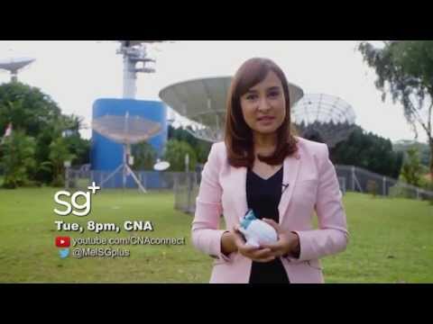 sg+ Lite | Channel NewsAsia Connect