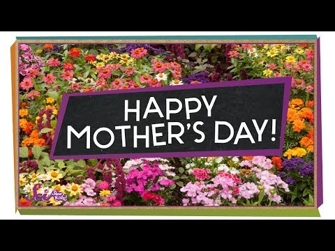 Happy Mother's Day! - SciShow Kids