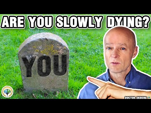 Why Insulin Is Killing You