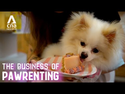 The Business Of Pawrenting