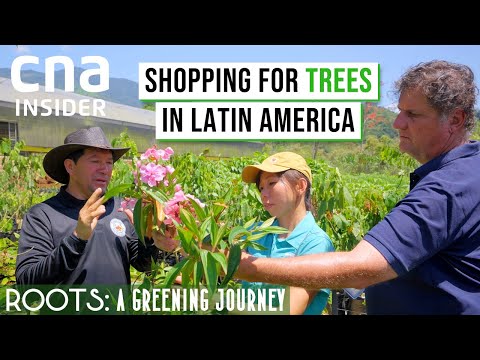 Roots: A Greening Journey