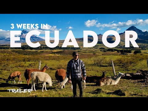 3 Weeks In ECUADOR 🇪🇨 Galapagos, Quito, Cotopaxi, Baños, Tena