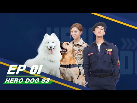 Hero Dog Season 3 神犬小七3 | iQIYI