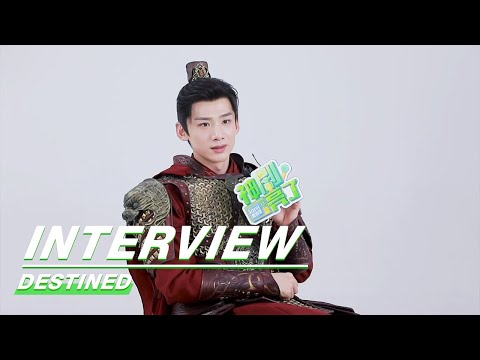 【🍭Interview🕵️‍♀️】Interviews are Constantly Updating✨✨✨Highlights are not to be Missed #iQIYI
