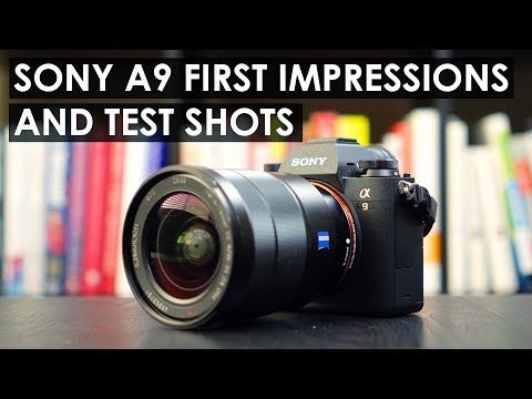 Sony a9 Review — Test Shots, Photos and Video Footage