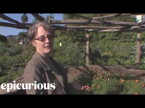 Chef Profiles and Recipes: Alice Waters