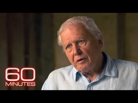 Sir David Attenborough talks climate change on 60 Minutes
