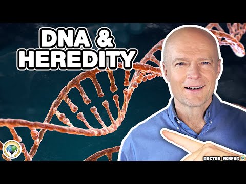 Pt 8 - User Manual For Humans - DNA and Heredity