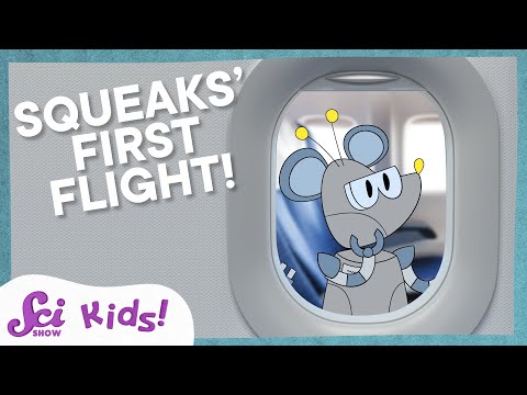 Squeaks' First Flight! | NGSS Grades 1-3 | SciShow Kids