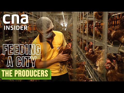 Feeding A City | Full Episodes