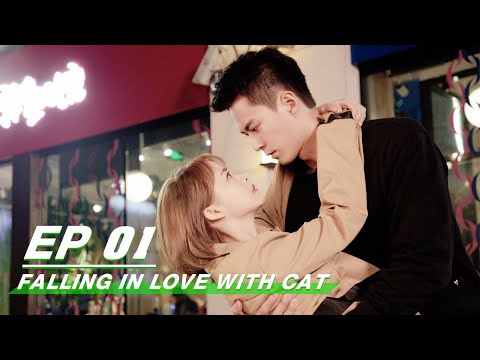 Falling In Love With Cat 恋上喵星人 | iQiyi