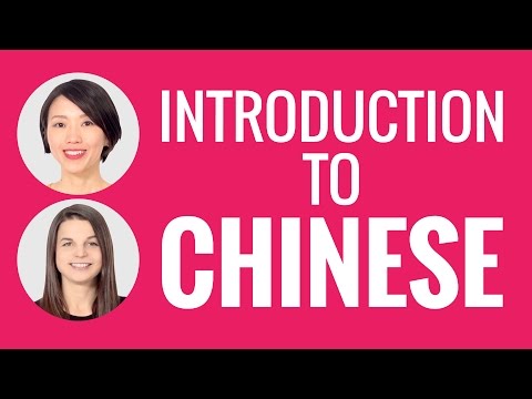 Introduction to Chinese