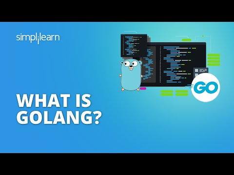 Go Programming Language Tutorial | Golang Tutorial [2024 Updated]