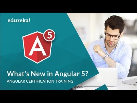 Angular 5 Tutorial For Beginners