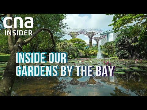 Inside Our Gardens By The Bay