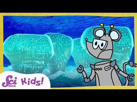 The History of Life! | SciShow Kids