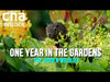 One Year In The Gardens | Full Episodes