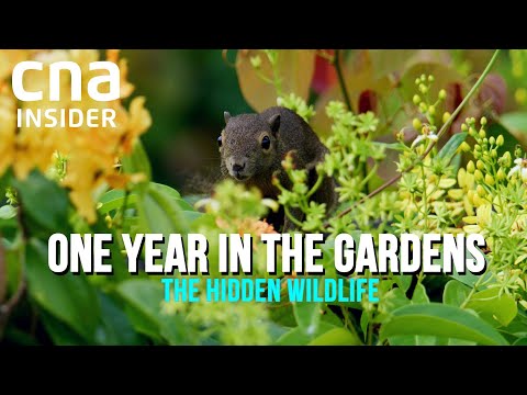One Year In The Gardens | Full Episodes