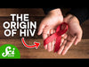 HIV Parts 1&2