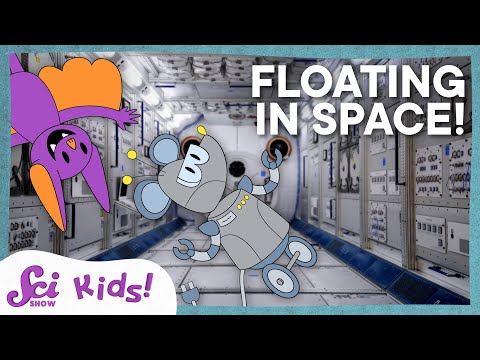 How We Study Space NGSS Grades 1-3 | SciShow Kids