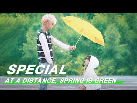 At a Distance, Spring is Green 远看是蔚蓝的春天 | iQiyi