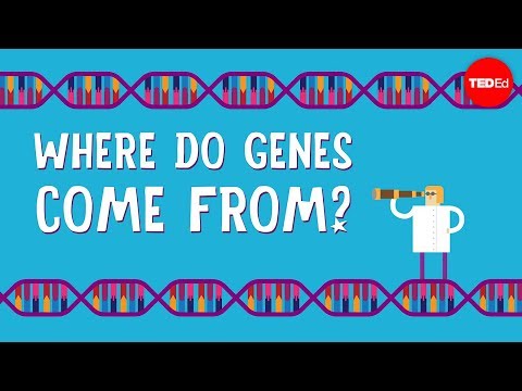 Understanding genetics