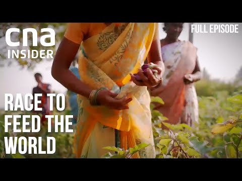 Race To Feed The World | Full Episodes