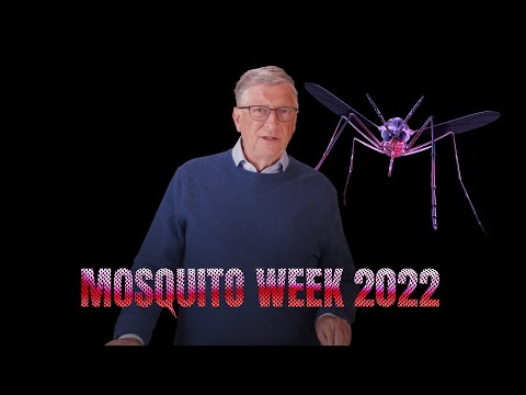 Mosquito Week