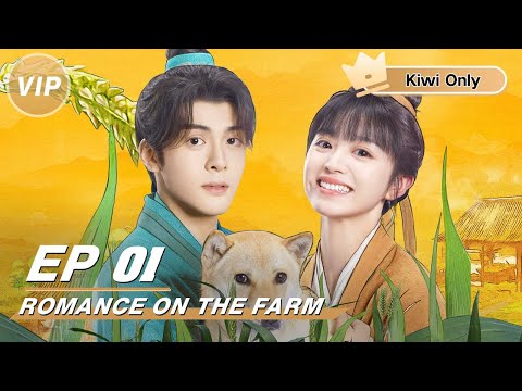 【Kiwi Only | FULL】Romance on the Farm | Joseph Zeng x Tian Xiwei | 田耕纪 | iQIYI 👑Join the Membership and enjoy full episodes now!