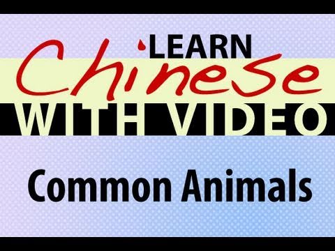 Learn Chinese - Learn With Video