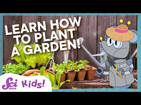 Squeaks Grows a Garden! | SciShow Kids