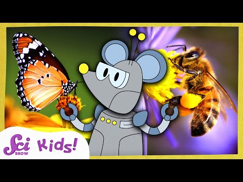 Bees! | SciShow Kids