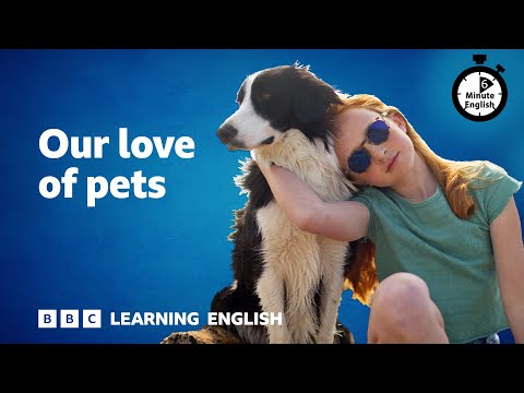 English with animals