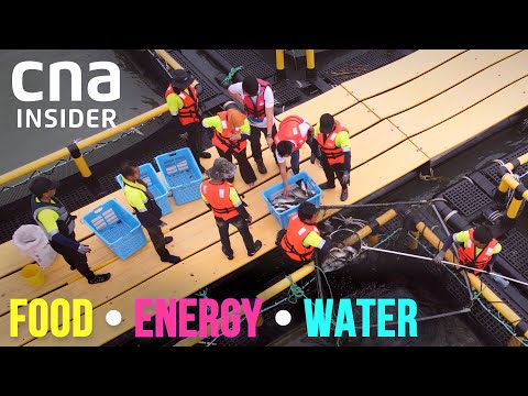 Food, Energy, Water | Full Episodes