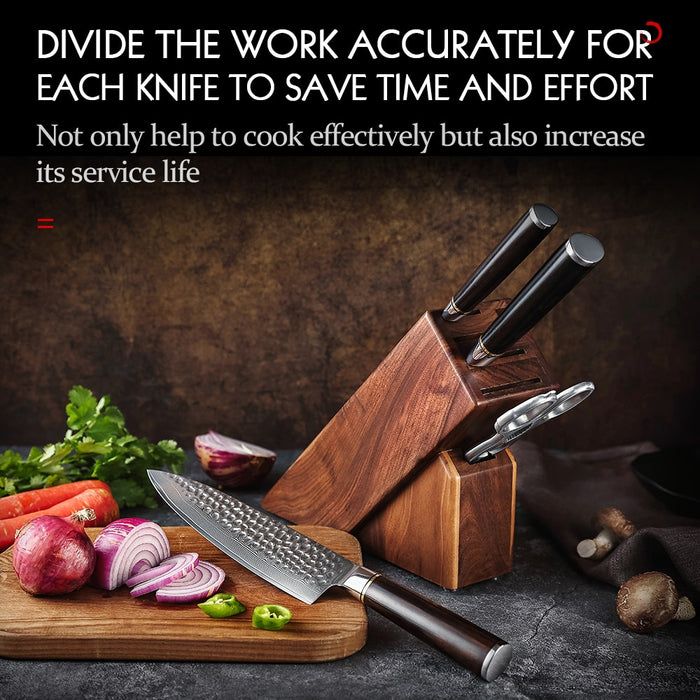 HEZHEN 5PC Knife Set 67 Layer Damascus Steel Chef Santoku Utility With Wodden Knife Holder Walnut Shears