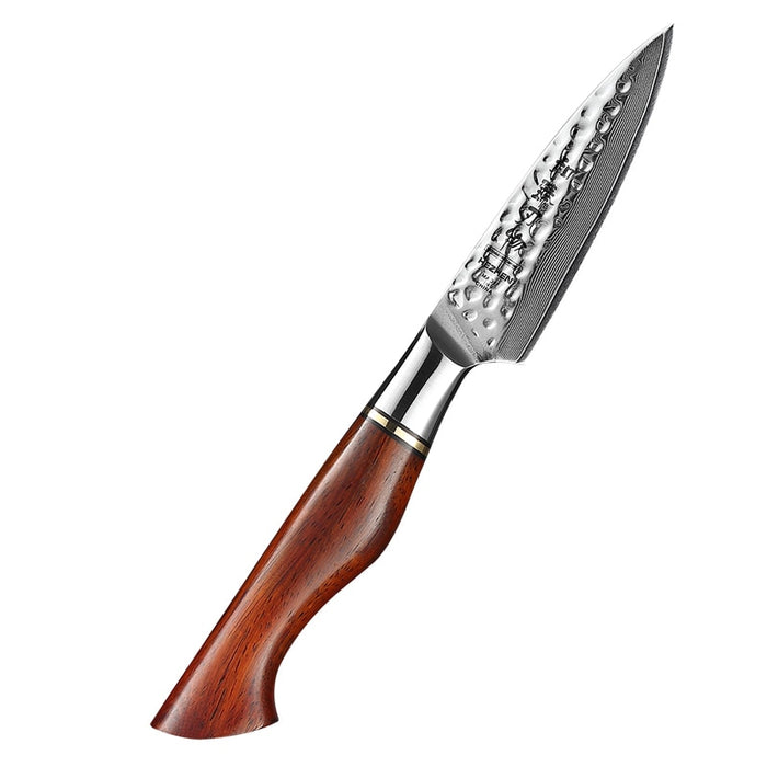 HEZHEN 1-5PC Kitchen Knife Set Slicing 73-Layer Powder Damascus Steel Rosewood Handle Chef Santoku Nakiri Utility knives paring knife China
