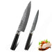 HEZHEN 1-2 PCS Kitchen Knife Sets professional Japanese Damascus Steel VG10 Chef knife Utility Knives Cook Tool Ebony Handle HZ-Z-2PC