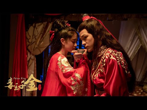 Poison King, The Trans Couple | Comedy Martial Arts & Love film, Full Movie HD